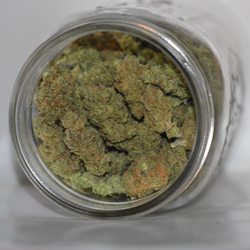 Greentree Express Collective - Sweet Kush Rip Genetics Greentree Delivery Private Reserve