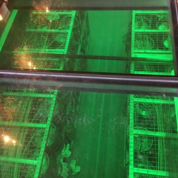 Jack & Gingers - Beer coolers under the floor!!! - Irish Pub Near Me - Austin, Texas Jack & Gingers - Beer coolers under the floor!!! - Irish Pub Near Me - Austin, Texas