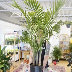 Ruby Flora Plant Shop