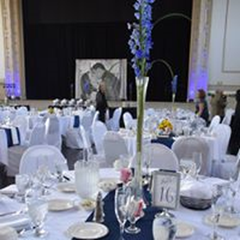 Stardust events - Party & Event Planning Near Me Stardust events - Party & Event Planning Near Me