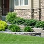 Photo of Redwood Landscaping
