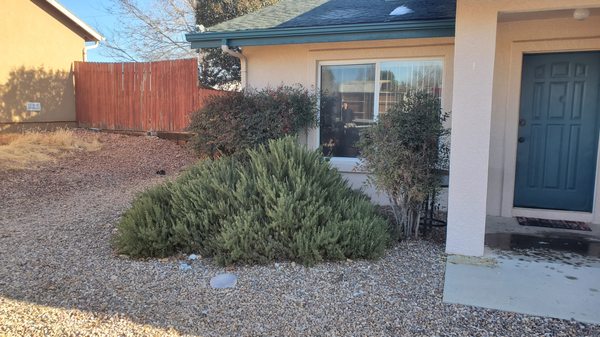 Curb appeal - Trimmed and hedged for a clean appearance. Curb appeal - Trimmed and hedged for a clean appearance.