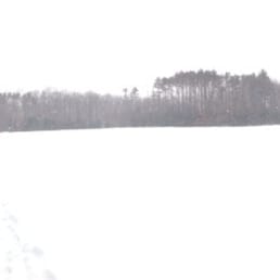 Meadow in the winter