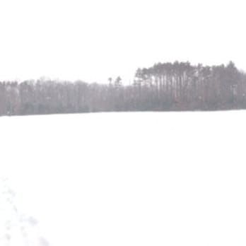 Robinson State Park - Meadow in the winter - Hiking Near Me - Feeding Hills, Massachusetts