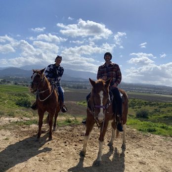 Wine Country Trails by Horseback - Just gift this event you won't be sorry! - Tours Near Me - Temecula, California