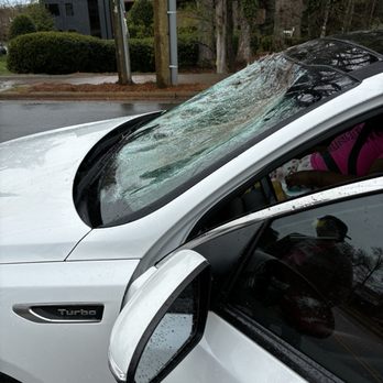 PB&J Services - The deer smashed my window - Junk Removal & Hauling Near Me - Thomasville, North Carolina PB&J Services - The deer smashed my window - Junk Removal & Hauling Near Me - Thomasville, North Carolina