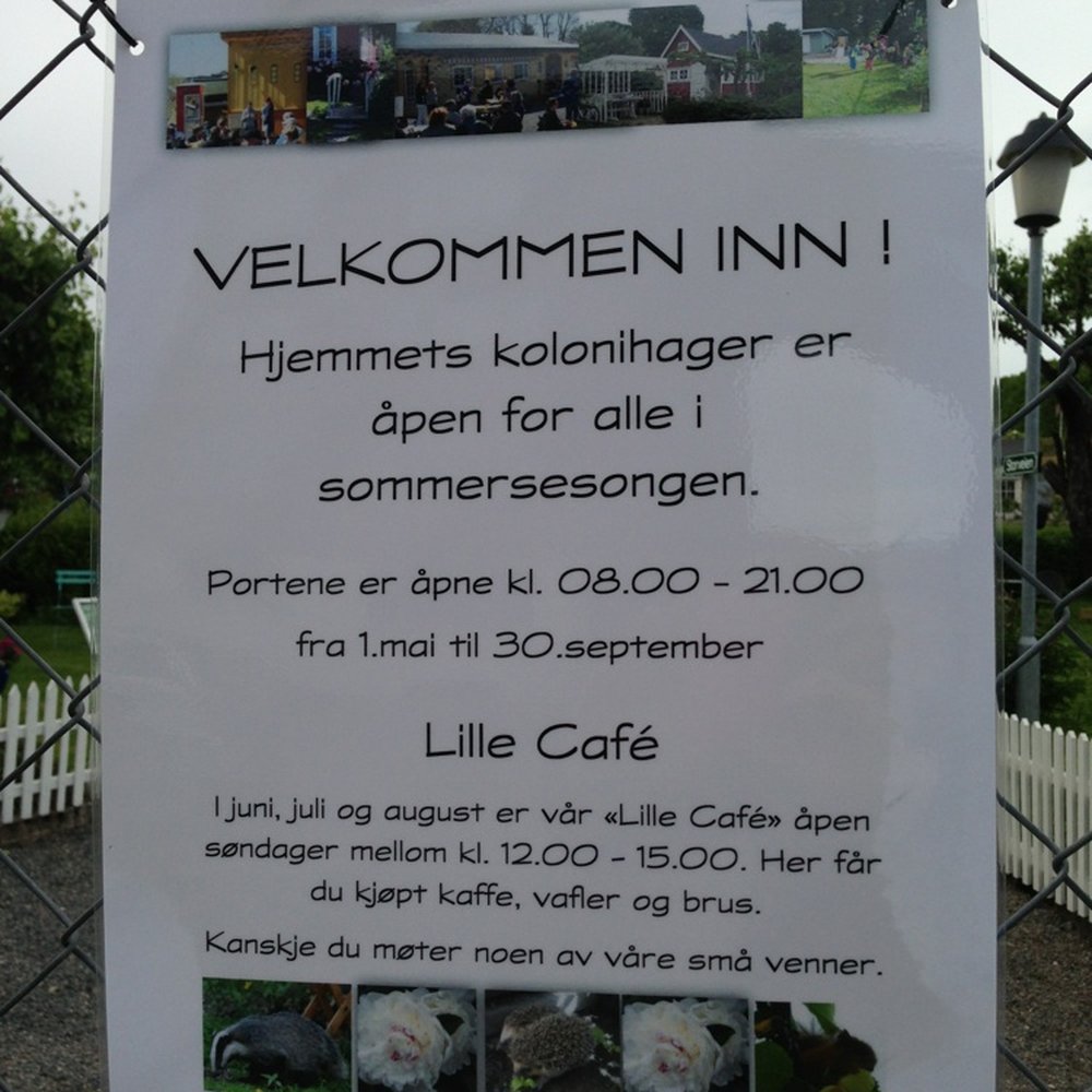 Lang Kald Natt | ENE, image size:1000x1000