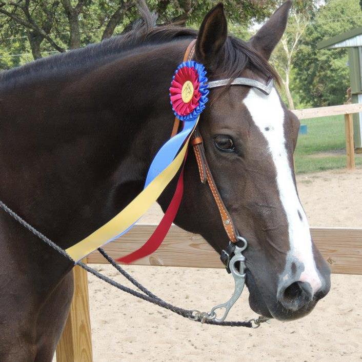 MIMOSA HILLS FARM Updated September 2024 671 Hopewell Rd,