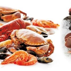 Great Ocean Seafood