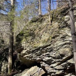 Ayers Gap Preserve - Massive boulder!