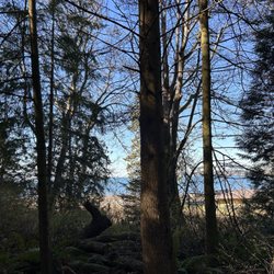 Birch Bay State Park
