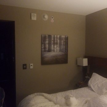 AC Hotel by Marriott Madison Downtown - My room! - Hotels Near Me - Madison, Wisconsin