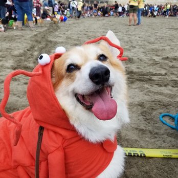 TJ MAXX - Updated April 2025 - 59 Photos & 60 Reviews - 216 N El Camino