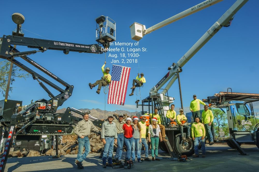 R.O. Landscape & Tree Service - tree service in Tucson, AZ