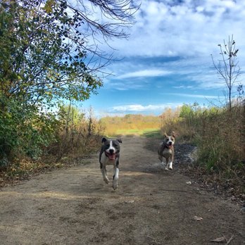 Prairie Wolf Off-Leash Dog Area - Dog Parks Near Me - Lake Forest, Illinois Prairie Wolf Off-Leash Dog Area - Dog Parks Near Me - Lake Forest, Illinois
