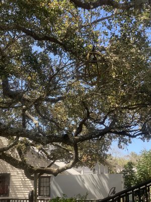 The Garden Company in Round Top by null