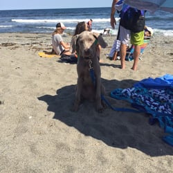 Bass Beach