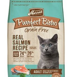 My cat's favorite food My cat's favorite food