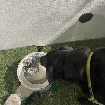 Brew Park - Water fountain - Dog Parks Near Me - Plymouth, Minnesota Brew Park - Water fountain - Dog Parks Near Me - Plymouth, Minnesota