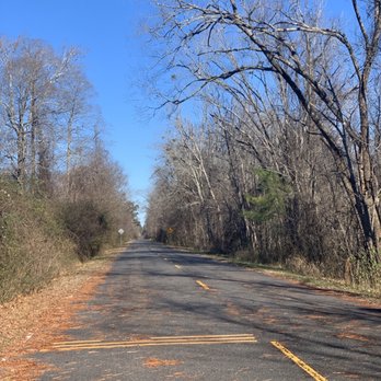 Dismal Swamp Canal Trail - Hiking Near Me - Chesapeake, Virginia Dismal Swamp Canal Trail - Hiking Near Me - Chesapeake, Virginia