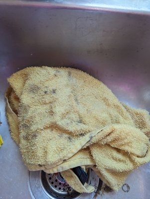 The House Doctor Logo