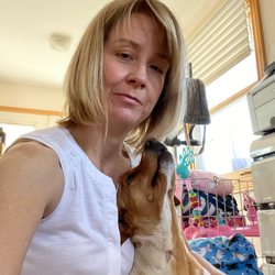 K9 Kounseling with Nikki - Grateful gaze, caring for a rescue recovering from surgery