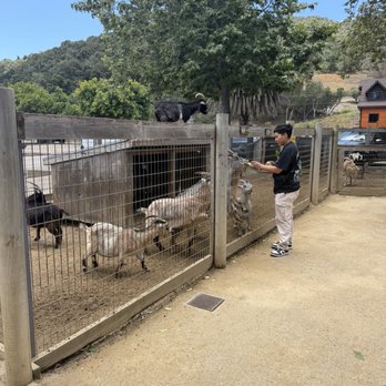 Avila Valley Barn - Fruits & Veggies Near Me - San Luis Obispo, California