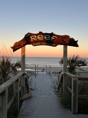 The Reef by null