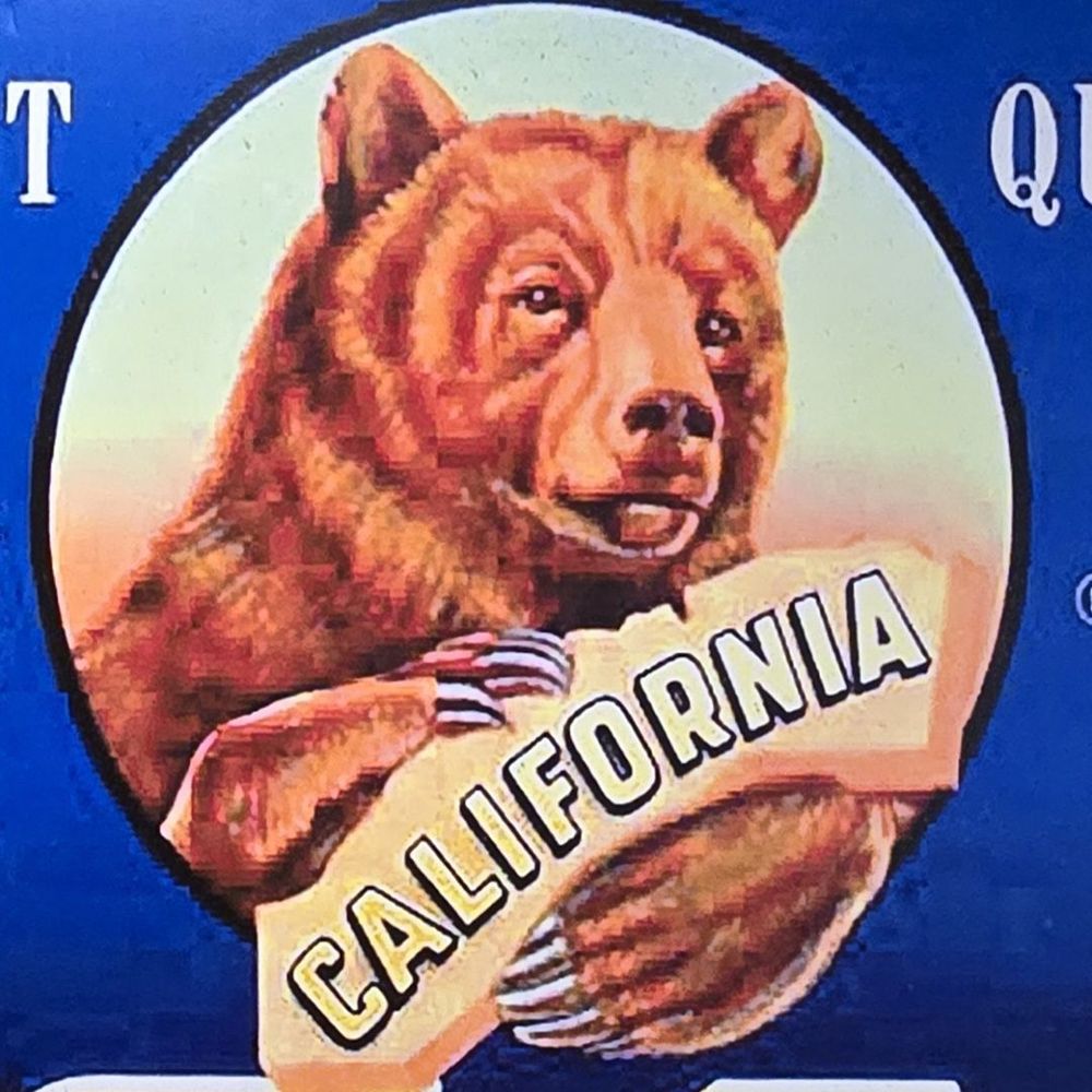 Black Bear Diner Arvin - Breakfast & Brunch Near Me - Arvin, California Black Bear Diner Arvin - Breakfast & Brunch Near Me - Arvin, California