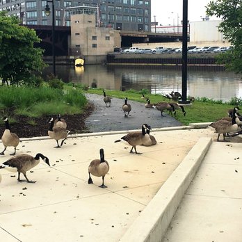 Ping Tom Memorial Park - 6/27/18 - Parks Near Me - Chicago, Illinois Ping Tom Memorial Park - 6/27/18 - Parks Near Me - Chicago, Illinois