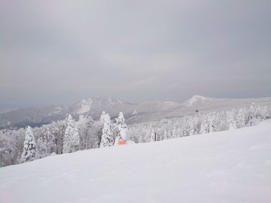 Zao Onsen Ski Resort by null