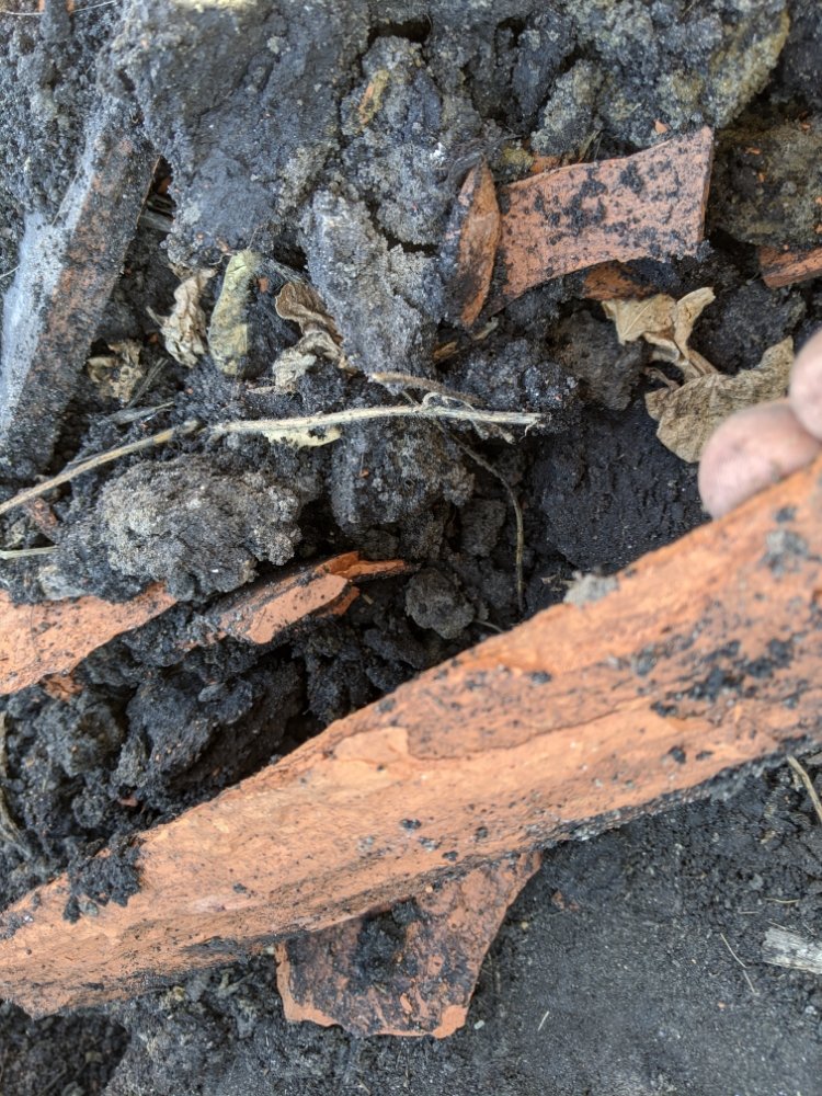 Slide of Minor Enterprise