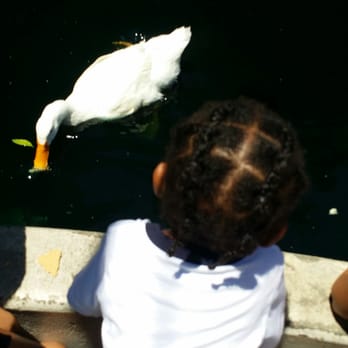 Heritage Park - Little people's viewing area - Parks Near Me - Cerritos, California Heritage Park - Little people's viewing area - Parks Near Me - Cerritos, California