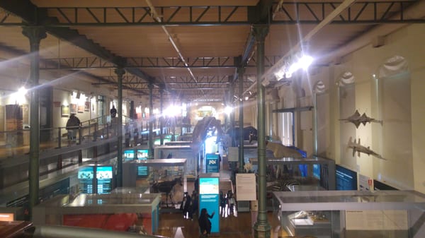 Museo Nacional de Ciencias Naturales by null