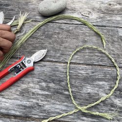 Waihee Coastal Dunes and Wetlands Preserve - Making cordage with sedge stems, ahu-awa