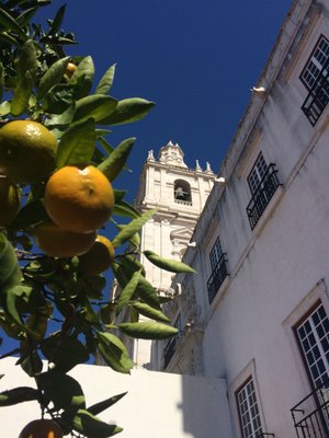 Mosteiro de São Vicente de Fora by null