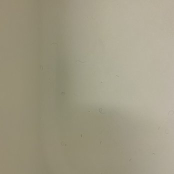 Motel 6 - Hair in shower - Hotels Near Me - West Memphis, Arkansas