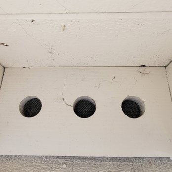 CaliCo Pest Solutions - Pest Control Near Me CaliCo Pest Solutions - Pest Control Near Me