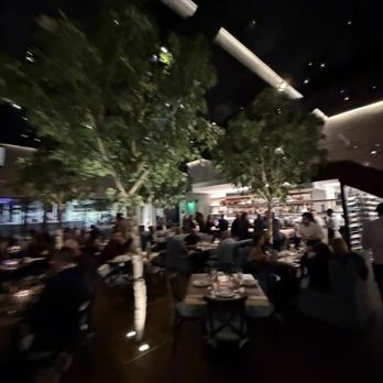 Timbr - Main dining area - New American Near Me - Fort Lauderdale, Florida Timbr - Main dining area - New American Near Me - Fort Lauderdale, Florida