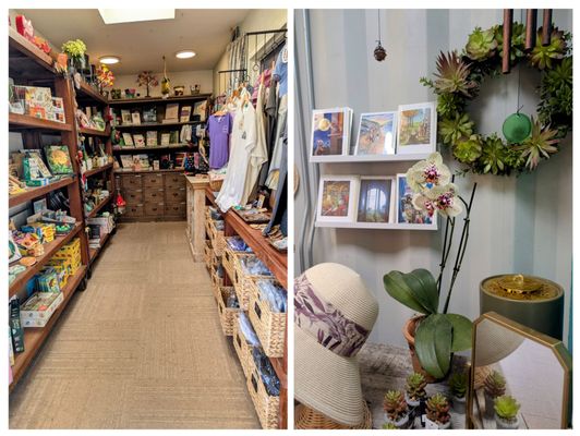 Ventura Botanical Gardens by null