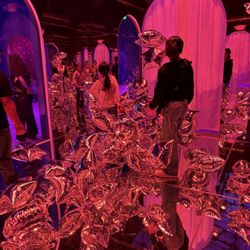 Bubble Planet on Yelp