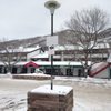 Vail Valley Ace Hardware gift card