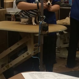 He's a little scared baby