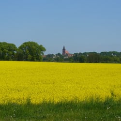 Tollenseseeradrundweg