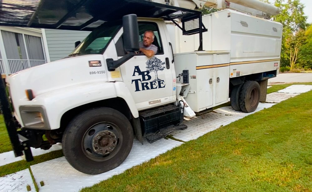 AB Tree Service - tree service in Spartanburg, SC