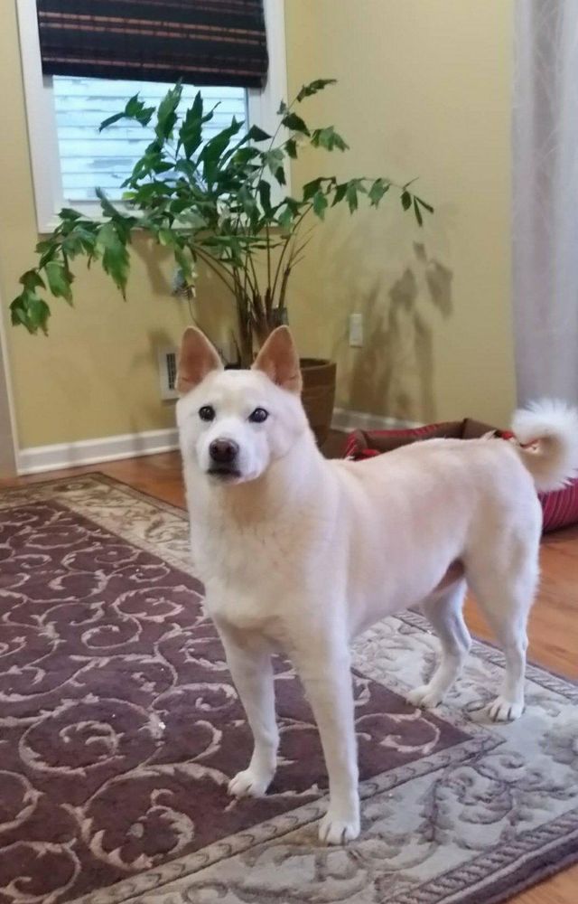 UNION ANIMAL HOSPITAL 28 Photos & 32 Reviews Veterinarians 1067