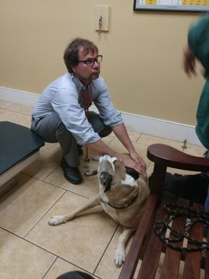 Burnt Hills Veterinary Hospital by null