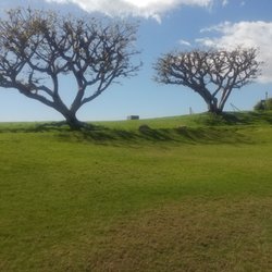 Alumni Park - Gonna find out what kind of trees here