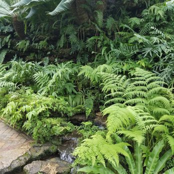 Lincoln Park Conservatory - Parks Near Me - Chicago, Illinois Lincoln Park Conservatory - Parks Near Me - Chicago, Illinois