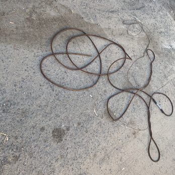 Burtech Plumbing - Snake that was stuck on the roof vent - Plumbing Near Me - Encinitas, California
